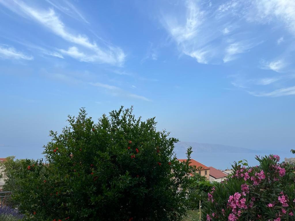 Apartment Verda Senj (Lika-Senj) Exterior foto